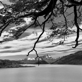 PATAGONIA in black &&nbsp;white